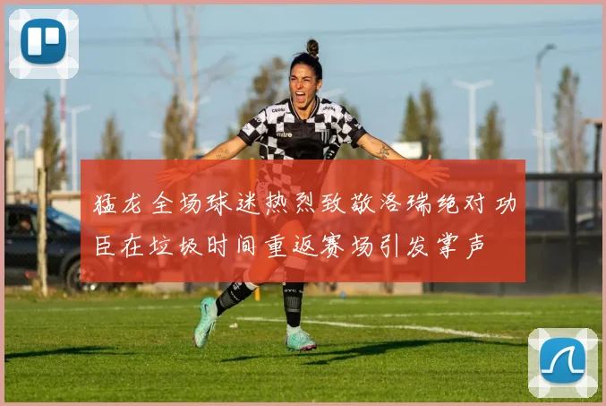 猛龙全场球迷热烈致敬洛瑞绝对功臣在垃圾时间重返赛场引发掌声