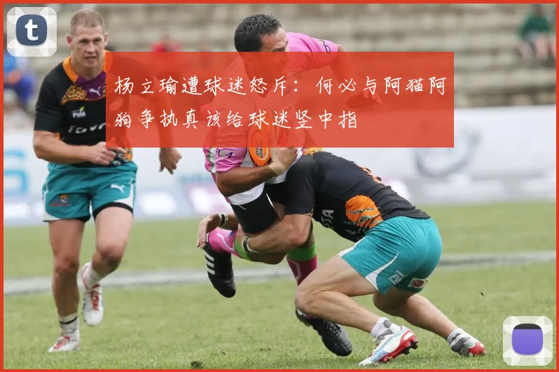 杨立瑜遭球迷怒斥：何必与阿猫阿狗争执真该给球迷竖中指