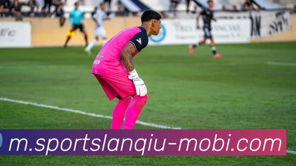 篮球赌注品牌故事